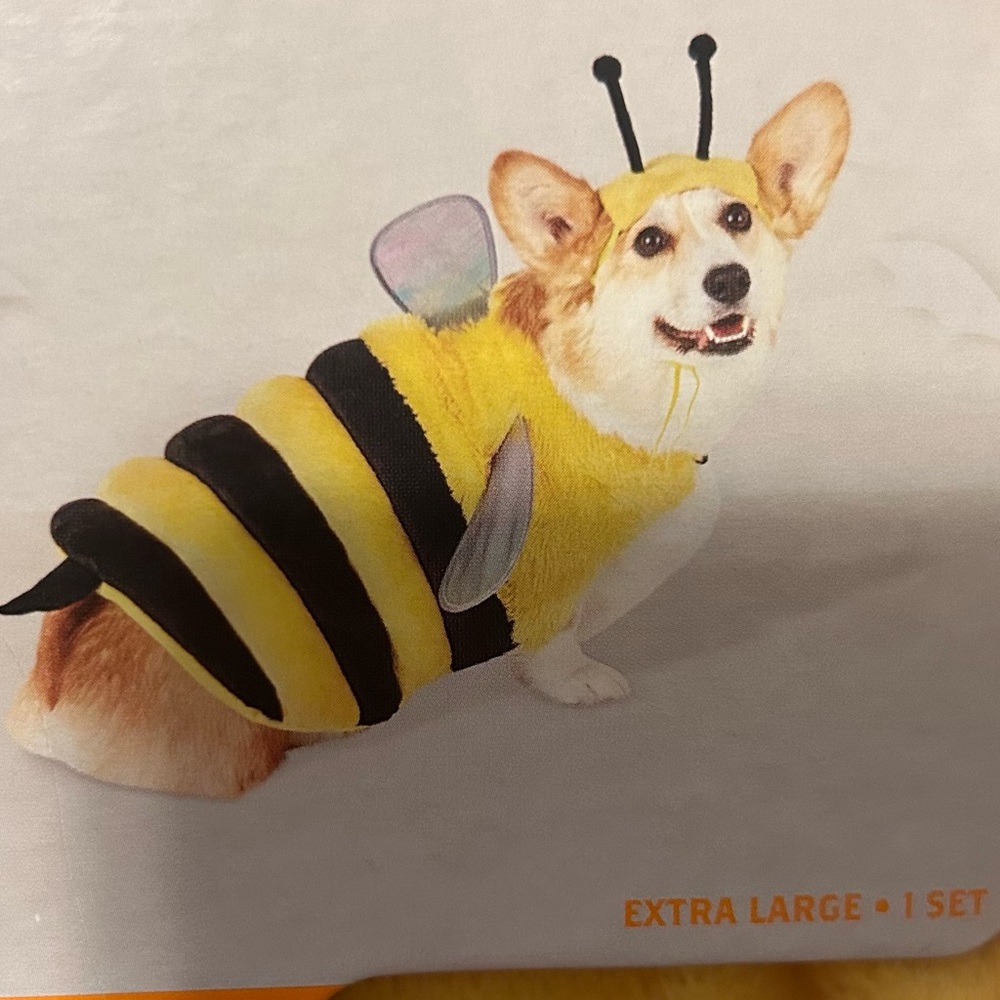 XL Dog Bee Halloween Costume